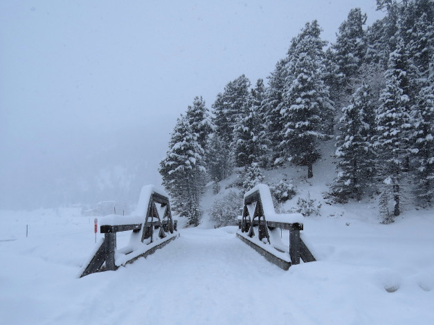 Обои картинки фото природа, зима, лес, снег, мост