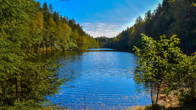 Обои картинки фото природа, реки, озера, озеро, лес, деревья, пейзаж