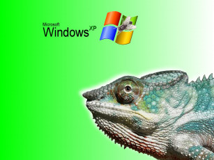 Картинка компьютеры windows xp