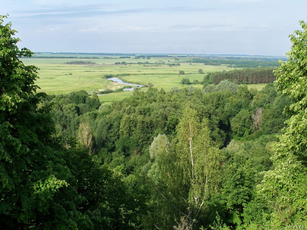 Обои картинки фото 