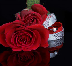 Картинка цветы розы коробка кольцо