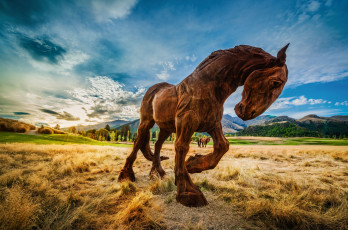 Картинка new zealand города памятники скульптуры арт объекты луг новая зеландия пейзаж природа лошади