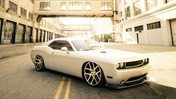 Картинка автомобили dodge challenger