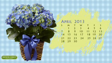 обоя календари, цветы, гортензия, бант