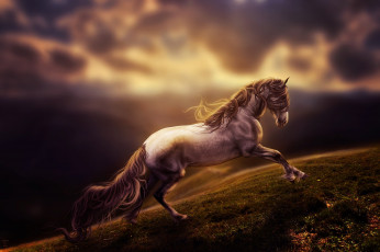 Картинка рисованные животные +лошади бег лошадь