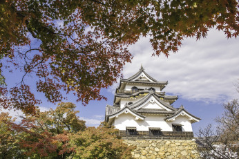 обоя замок хиконэ, города, замки Японии, пагода