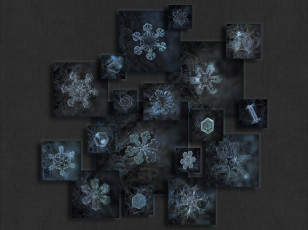 Картинка разное компьютерный+дизайн коллаж снежинки