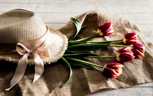 Обои картинки фото цветы, тюльпаны, бутоны, шляпа