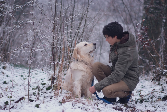 Обои картинки фото мужчины, - unsort, парень, деревья, снег, зима, собака
