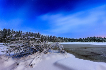 Картинка природа зима пейзаж деревья озеро