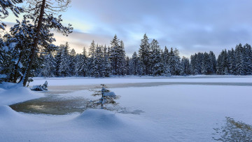 Картинка природа зима пейзаж деревья озеро