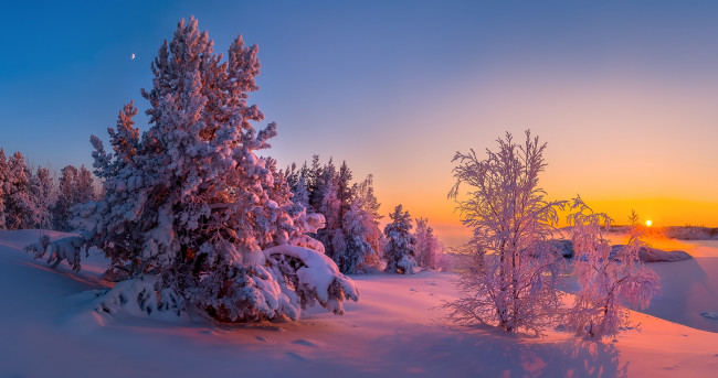 Обои картинки фото природа, зима, снег, ладожское, озеро, деревья, карелия, закат