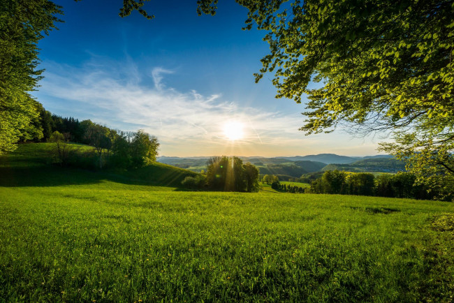 Обои картинки фото природа, пейзажи, трава, деревья, небо, утро, солнце