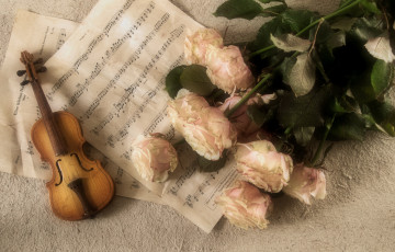 обоя музыка, -музыкальные инструменты, ноты, цветы, скрипка