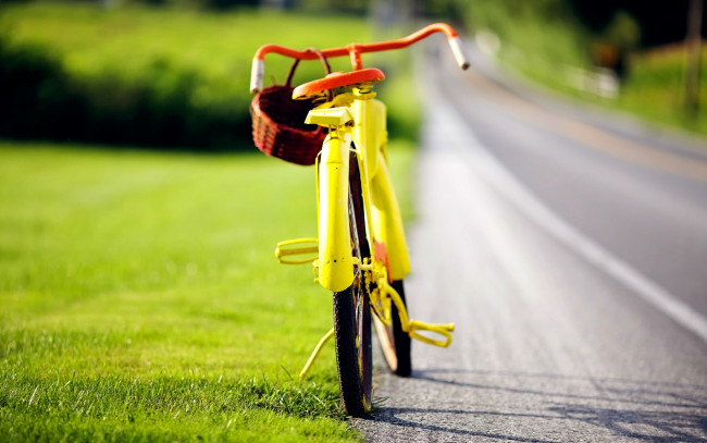 Обои картинки фото техника, велосипеды, велосипед, корзина, дорога