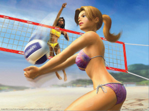 обоя видео, игры, summer, heat, beach, volleyball