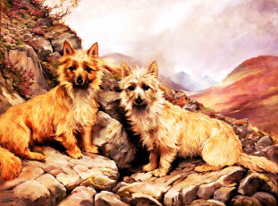 Картинка scott rankin рисованные собака