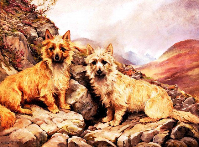 Обои картинки фото scott, rankin, рисованные, собака