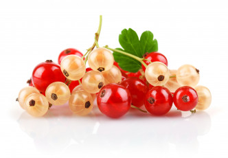 Картинка еда смородина ягоды витамины
