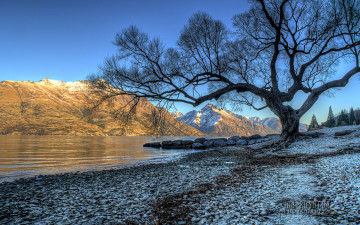 Картинка природа реки озера дерево озеро горы