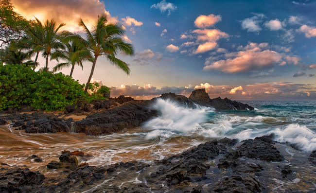 Обои картинки фото maui, hawaii, природа, тропики, мауи, гавайи, тихий, океан, скалы, прибой, камни, пальмы, облака