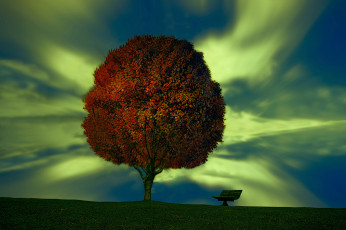 Картинка 3д+графика природа+ nature скамья дерево plant your dream