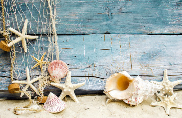 обоя разное, ракушки,  кораллы,  декоративные и spa-камни, морские, звезды, сеть