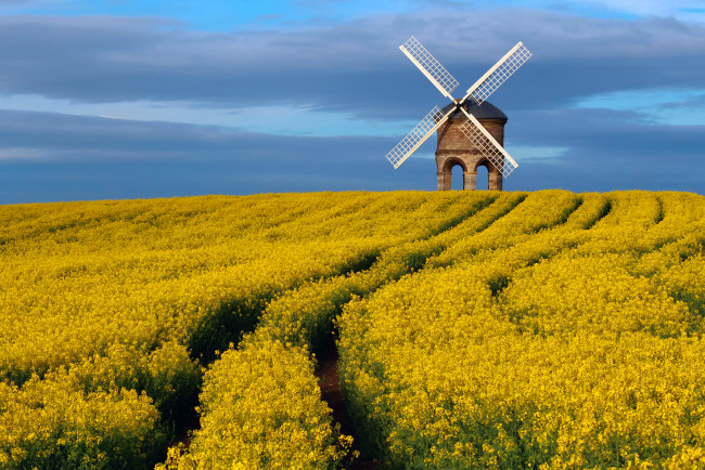 Обои картинки фото разное, мельницы, небо, цветы, поле, луг, графство, великобритания, апрель, весна, ветряная, мельница, chesterton, windmill, уорикшир, памятник, архитектуры, рапс