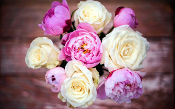 Картинка цветы букеты +композиции розы пионы
