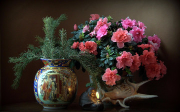 Картинка цветы рододендроны+ азалии азалия