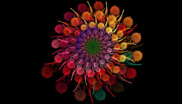 обоя 3д графика, цветы , flowers, цветы, цвета, спираль