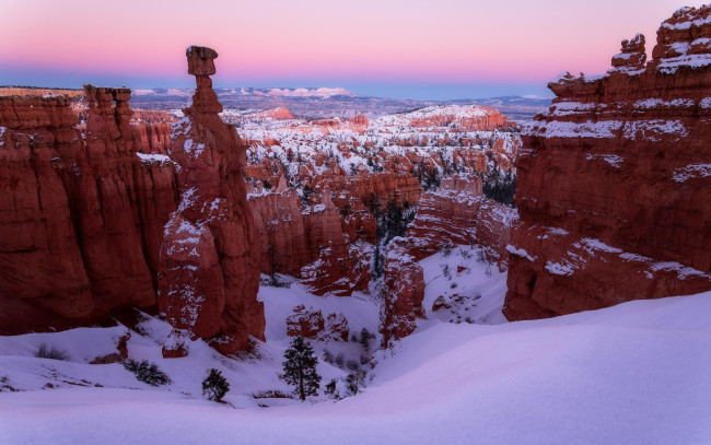 Обои картинки фото bryce canyon national park, utah, природа, горы, bryce, canyon, national, park