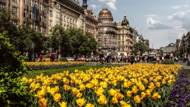 Обои картинки фото города, прага , чехия, улица, здания, клумба, цветы, туристы