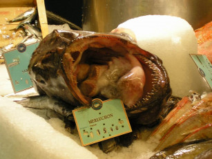 Картинка морские деликатесы еда рыба морепродукты суши роллы