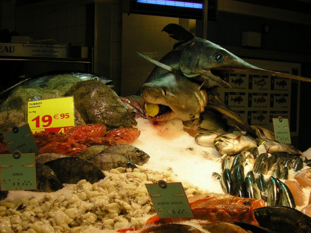 Обои картинки фото морские, деликатесы, еда, рыба, морепродукты, суши, роллы