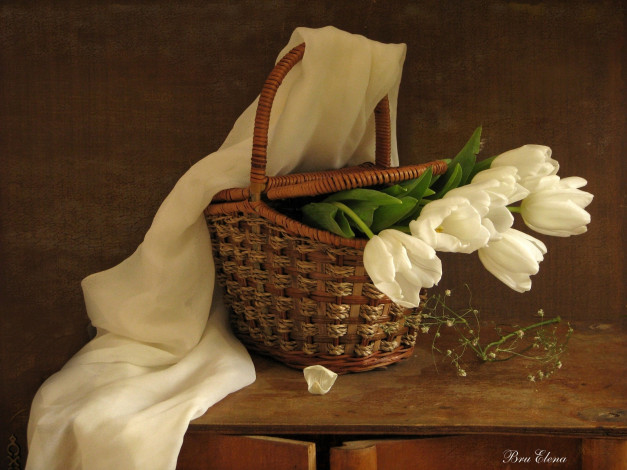 Обои картинки фото цветы, тюльпаны, корзинка, шаль
