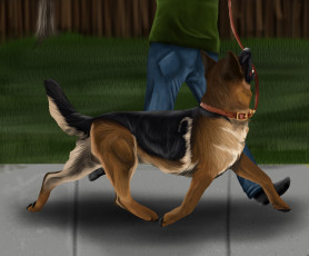Картинка рисованные животные +собаки собака поводок