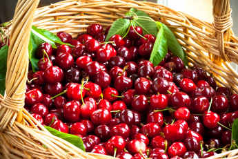 Картинка еда вишня +черешня корзина фрукты черешня basket fruit cherries
