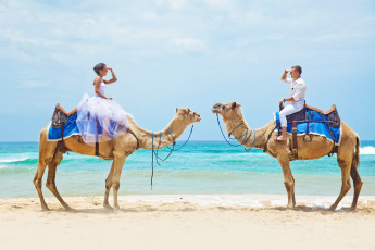 Картинка разное мужчина+женщина влюбленная пара верблюды пляж море
