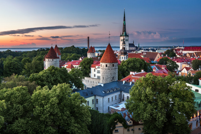 Обои картинки фото города, таллин , эстония, дома, вечер, август, лето, таллин, город