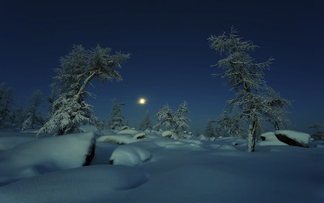 Картинка природа зима ночь луна снег деревья