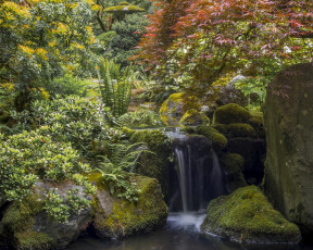 Картинка природа парк portland japanese garden орегон портлендский Японский сад портленд