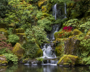 Картинка природа парк портленд портлендский Японский сад орегон portland japanese garden
