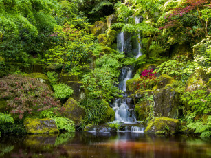 Картинка природа парк portland japanese garden орегон портленд портлендский Японский сад