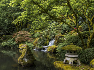Картинка природа парк портлендский Японский сад portland japanese garden орегон портленд