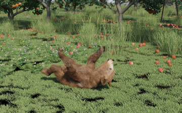 Картинка 3д+графика животные+ animals фон медвежонок