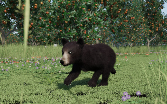 Обои картинки фото 3д графика, животные , animals, медвежонок, фон