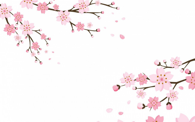 Обои картинки фото векторная графика, цветы , flowers, цветки, blossom, background, cherry, текстура, фон