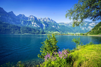 Картинка природа реки озера горы озеро зелень