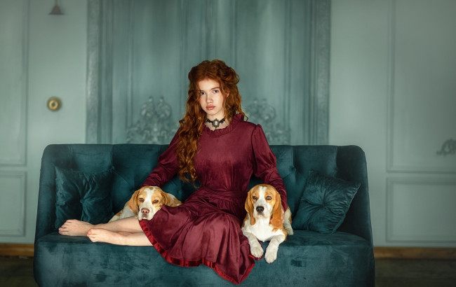 Обои картинки фото девушки, - рыжеволосые и разноцветные, диван, рыжие, волосы, платье, собаки